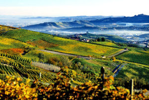Paso Robles